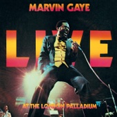 Marvin Gaye - Intro Theme