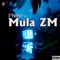 Same Vibe - Mula ZM lyrics