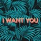 I Want You - Charles Joseph lyrics