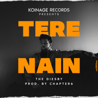 Diesby & Chapter6 - Tere Nain - Single artwork