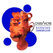 Burning Dancefloor (French Radio Edit) artwork