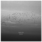 Ravens