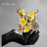 The Other Lover - Single