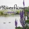 Riverflow - Till Death Do Us Part
