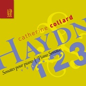 Haydn Piano Sonatas, Vols. 1, 2, 3 artwork