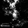 Nursery Rhymes - Single