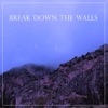 Break Down the Walls, 2016