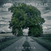 Goodbye - Aurora Borealis