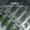 Stream & download Nobody Criminal - Single