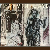 Marvin Gaye - Falling In Love Again (Alternate Version)