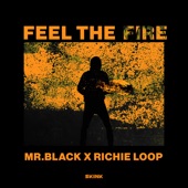 Feel the Fire artwork