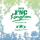 I Wish (feat. N.Flying) [Live 2019 FNC Kingdom -Winter Forest Camp- at Makuhari International Exhibition Halls, Chiba] artwork