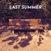 Last Summer - Single
