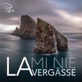 La mi nie la vergässe artwork