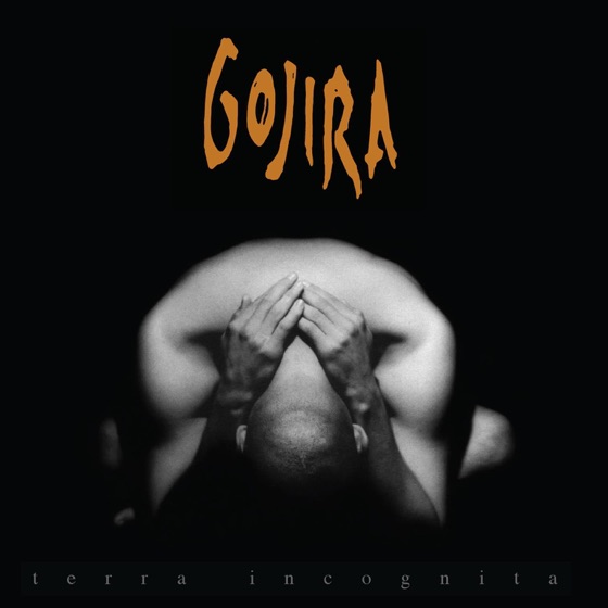 Cover artwork for Fire Is Everything