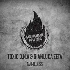 Nameless - Single by Toxic D.N.A. & Gianluca Zeta album reviews, ratings, credits