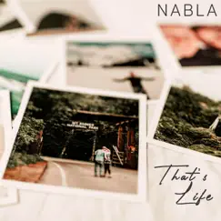 That's Life - Single by Nabla album reviews, ratings, credits