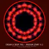 Iridium (Part II.) - Single album lyrics, reviews, download