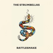 The Strumbellas - One Hand Up