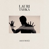 Aavikko artwork