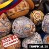 Made In Colombia: Tropical, Vol. 28