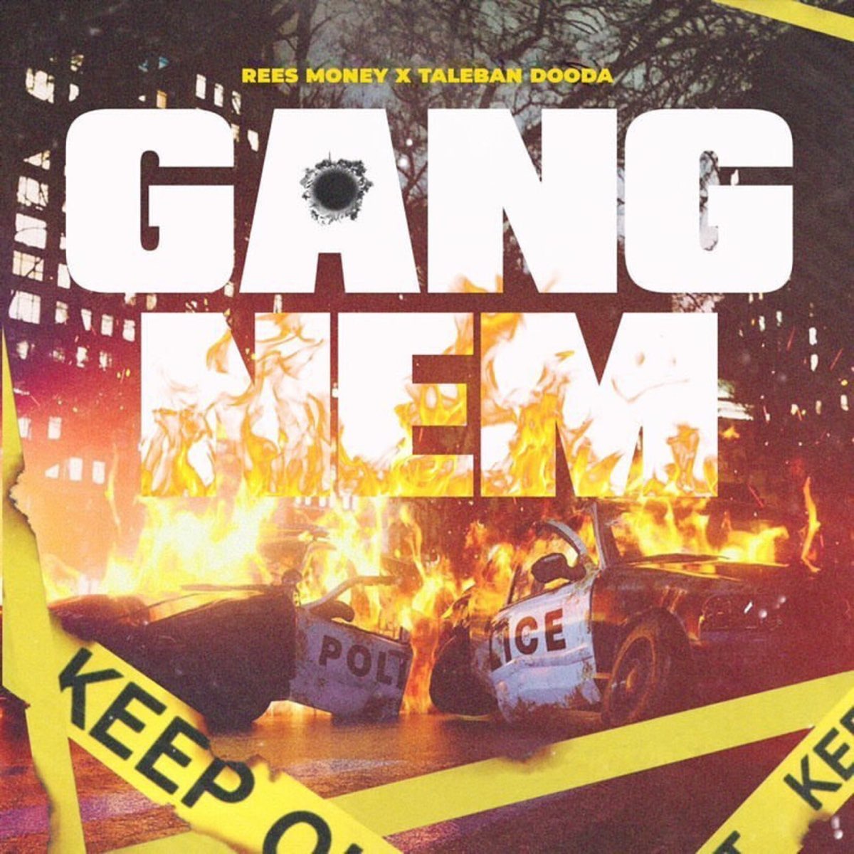 gang-nem-single-by-rees-money-taleban-dooda-on-apple-music