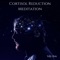 Stress Relief Calm Oasis - Lily Zen lyrics