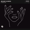 Mr Belt & Wezol - Homeless