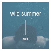 Wild Summer (Hardstyle Mix) artwork