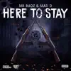 Here to Stay (feat. Mafi D) - Single album lyrics, reviews, download
