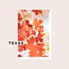 Texas - Single album lyrics, reviews, download