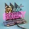 I'm Not Sorry song lyrics
