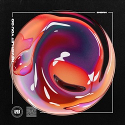 SNBRN - Never Let You Go