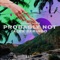 Probably Not - Alex Skrindo & Diviners lyrics