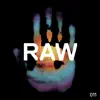 Raw 011 - Single album lyrics, reviews, download