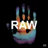 Stream & download Raw 011 - Single