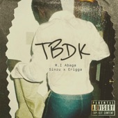 TBDK (feat. Sinzu & Erigga) artwork