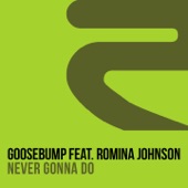 Never Gonna Do (feat. Romina Johnson)