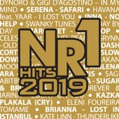 NR1 Hits 2019 (Special Edition) artwork