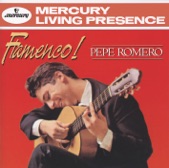 Flamenco!, 1995