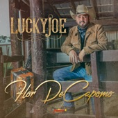 Lucky Joe - Flor de Capomo