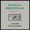 Sensizlik - Sarhoş Martılar - Single