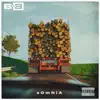 Somnia album lyrics, reviews, download