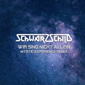 Wir sind nicht allein (Mystic Experience Radio Edit) artwork