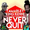 Stream & download Never Quit (feat. Tamarley) - Single