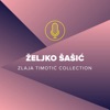 Željko Šašić (Zlaja Timotić Collection)