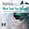 What Took You So Long - Single