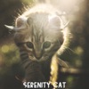Serenity Cat