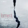 Stream & download Lament