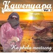 Ke Phela Meetsing artwork